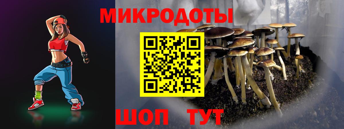 Галлюциногенные грибы MAGIC MUSHROOMS  Вход с VPN  Псилоцибиновые грибы ЛСД  Выборг 